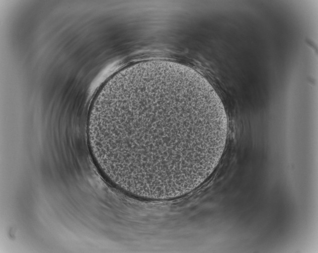 X0000102460004200809051320