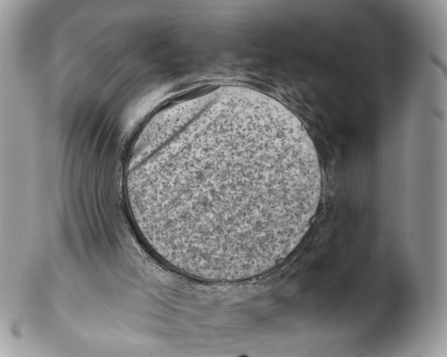 X0000102460005200809051320