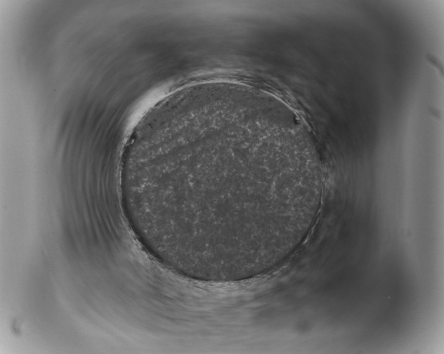 X0000102460006200809051320
