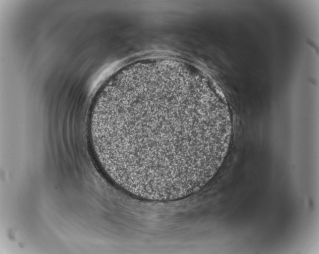 X0000102460007200809051320