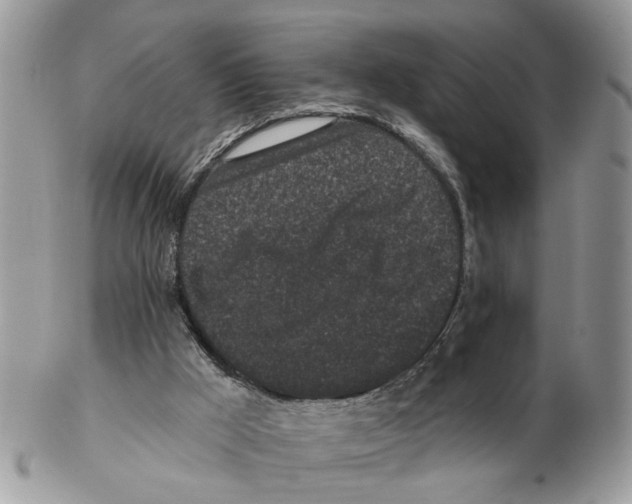 X0000102460009200809051320