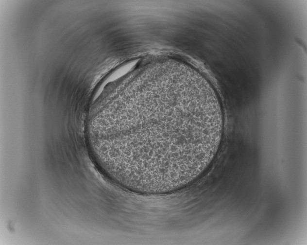 X0000102460010200809051320