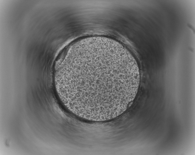 X0000102460012200809051320