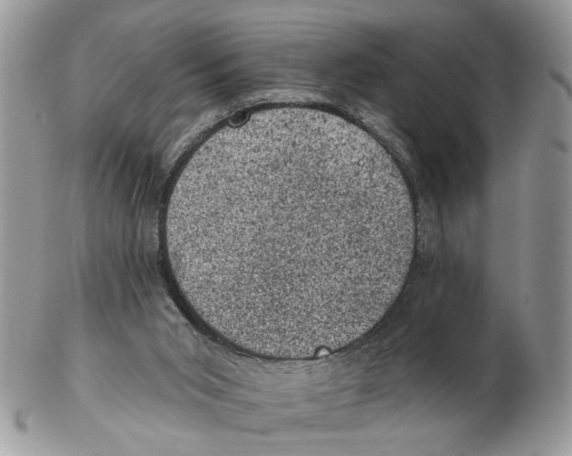 X0000102460015200809051320