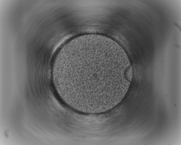X0000102460016200809051320