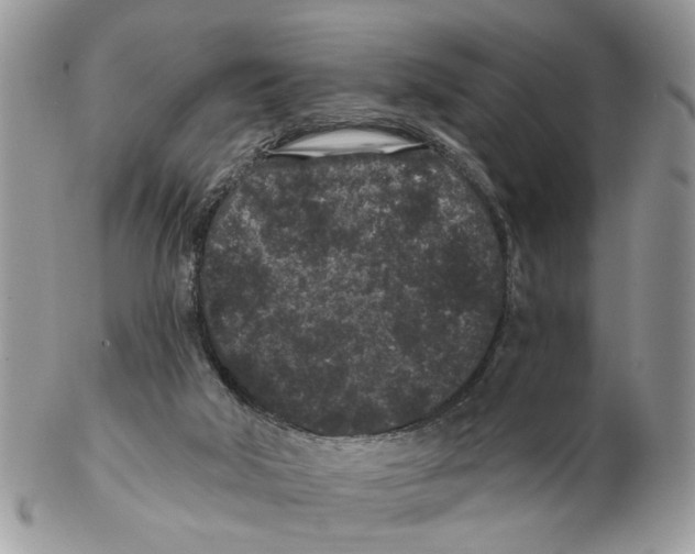 X0000102460018200809051320