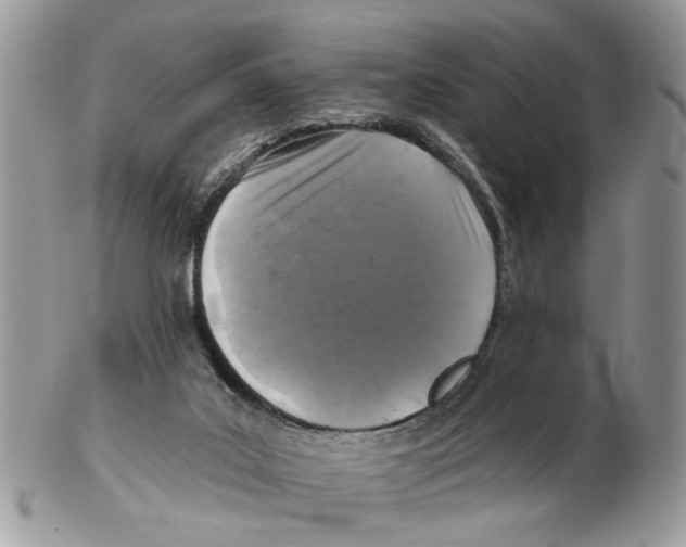 X0000102460019200809051320