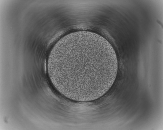 X0000102460020200809051320