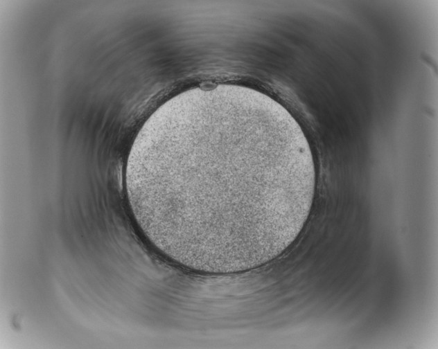 X0000102460021200809051320