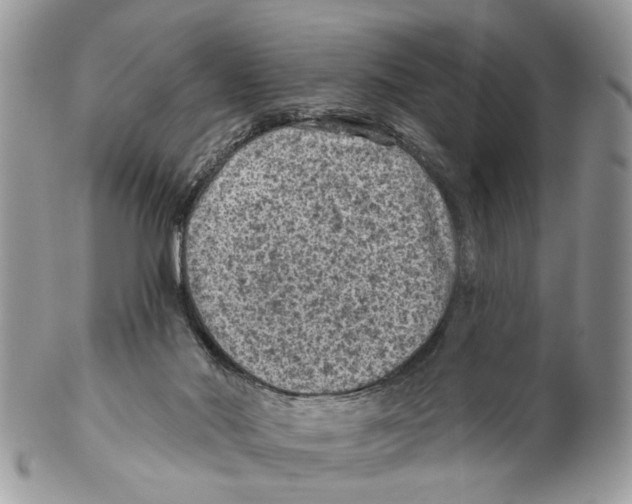 X0000102460022200809051320
