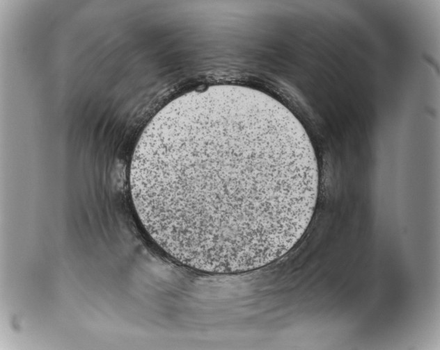 X0000102460025200809051320