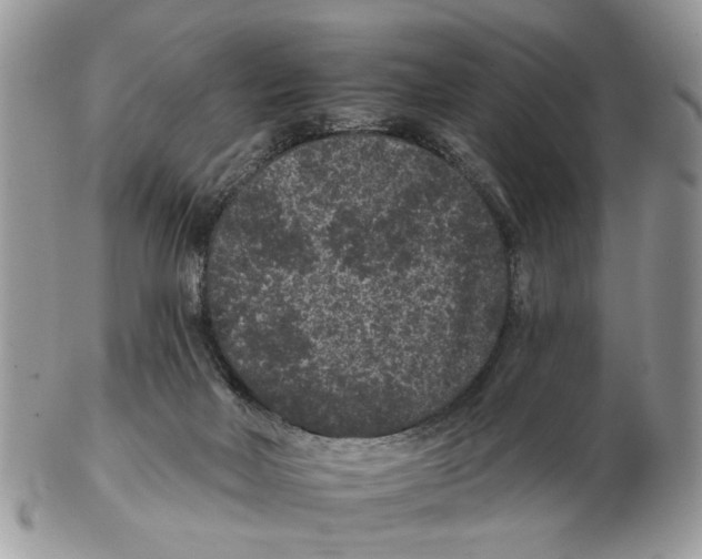 X0000102460026200809051320