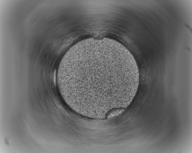 X0000102460028200809051320