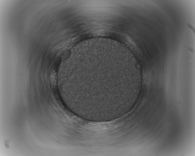 X0000102460029200809051320