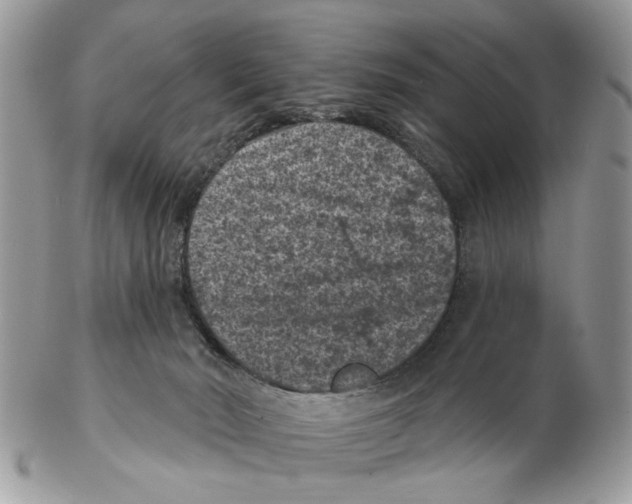 X0000102460030200809051320