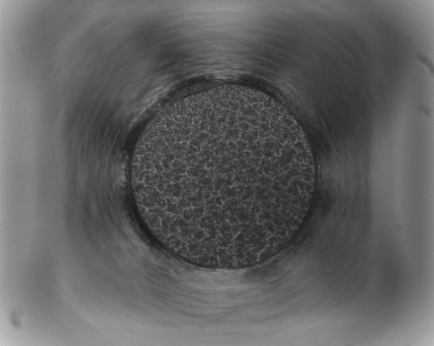 X0000102460032200809051320
