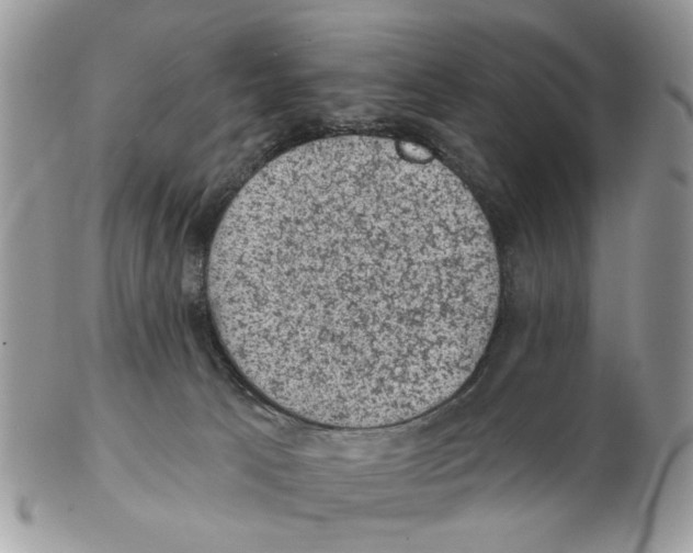X0000102460033200809051320