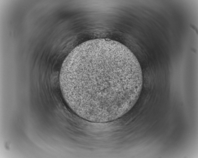 X0000102460034200809051319