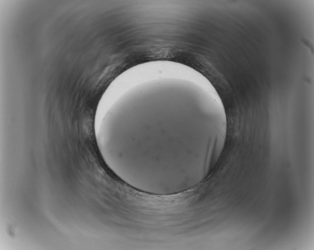 X0000102460035200809051319
