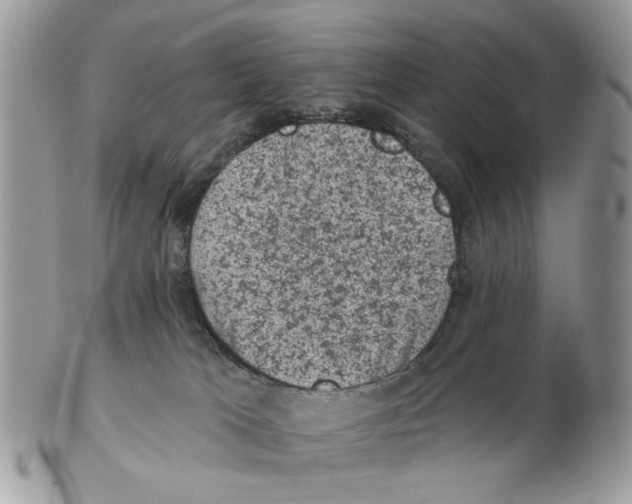 X0000102460037200809051319