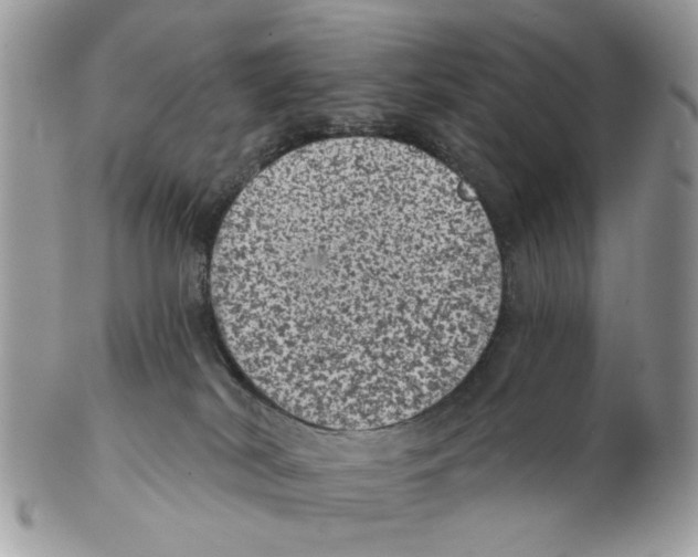 X0000102460038200809051319