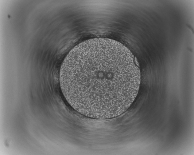 X0000102460040200809051319