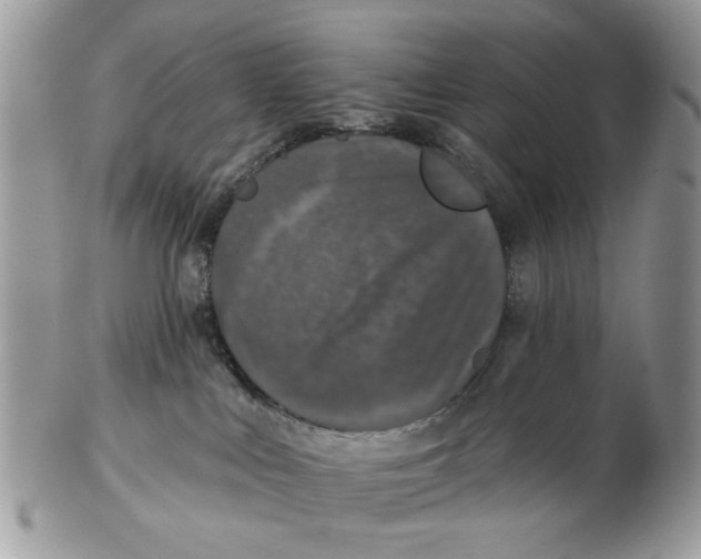 X0000102460043200809051319