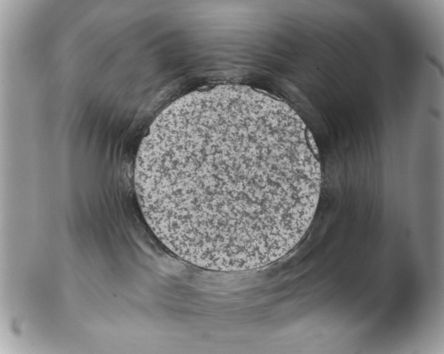 X0000102460045200809051319
