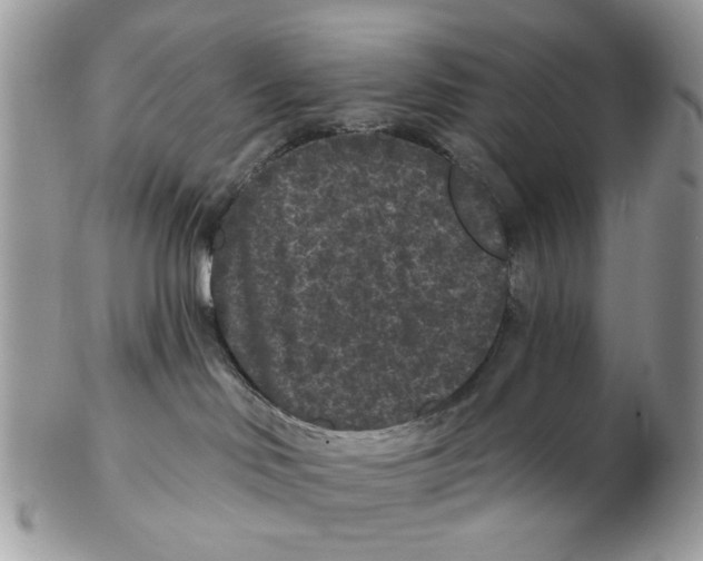 X0000102460046200809051319