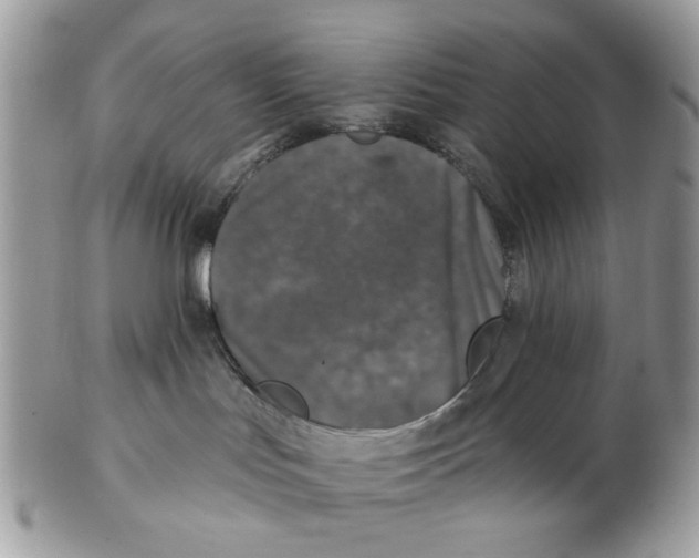 X0000102460047200809051319