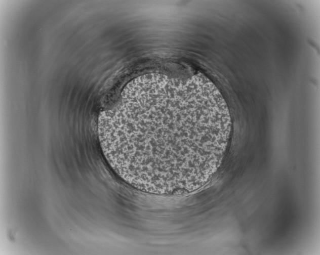 X0000102460048200809051319