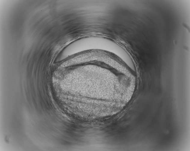 X0000102460049200809051319