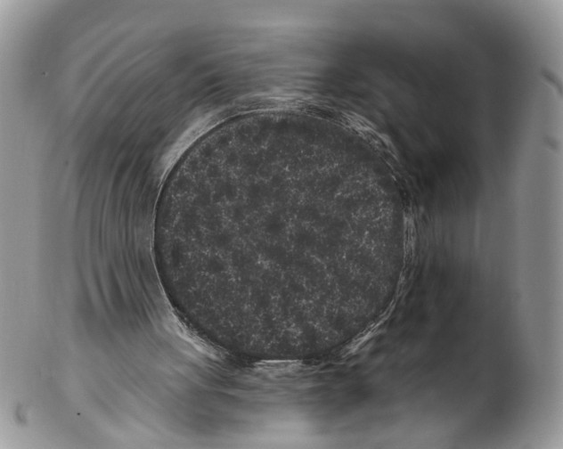 X0000102460051200809051319