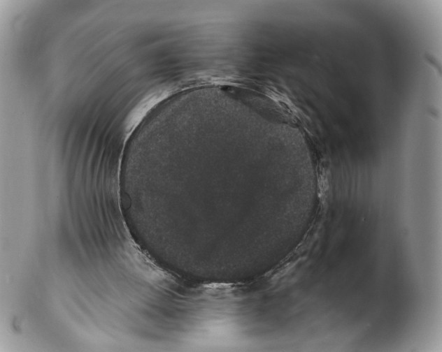 X0000102460052200809051319