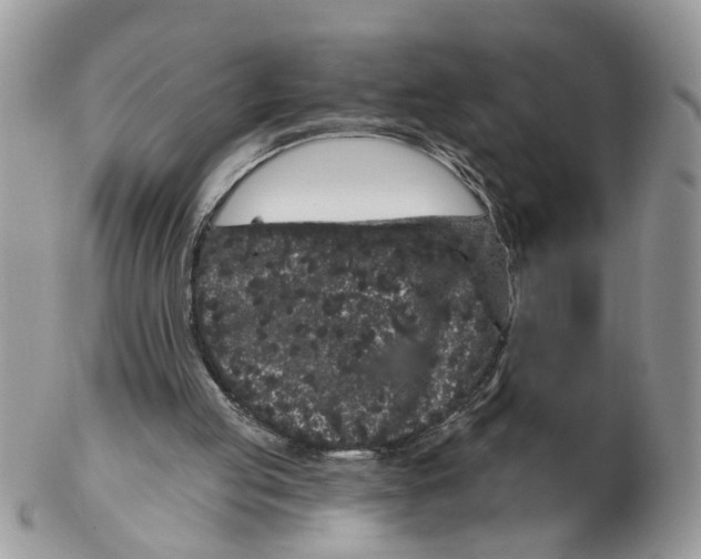 X0000102460053200809051319