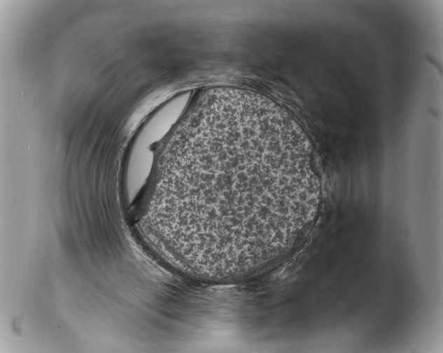 X0000102460054200809051319