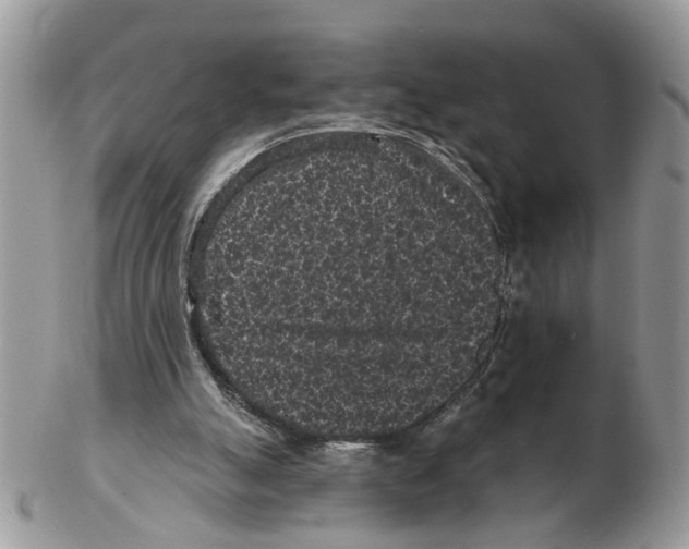 X0000102460055200809051319