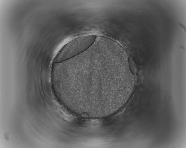X0000102460056200809051319