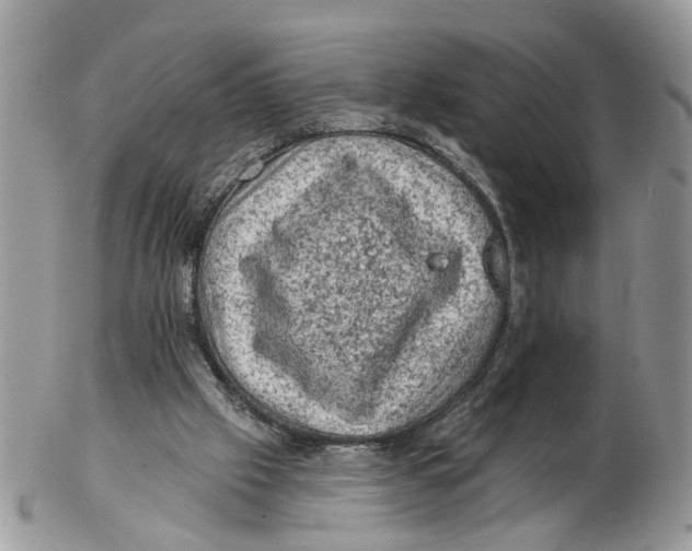 X0000102460057200809051319