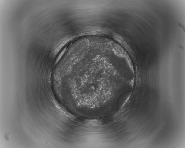 X0000102460058200809051319