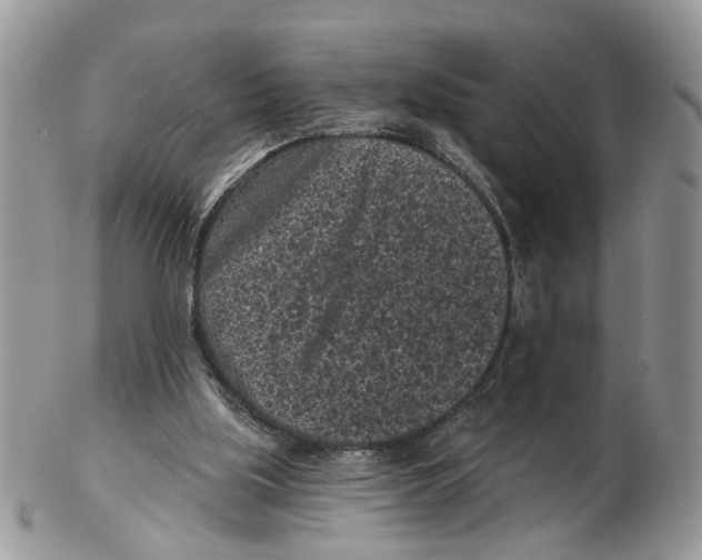 X0000102460059200809051319
