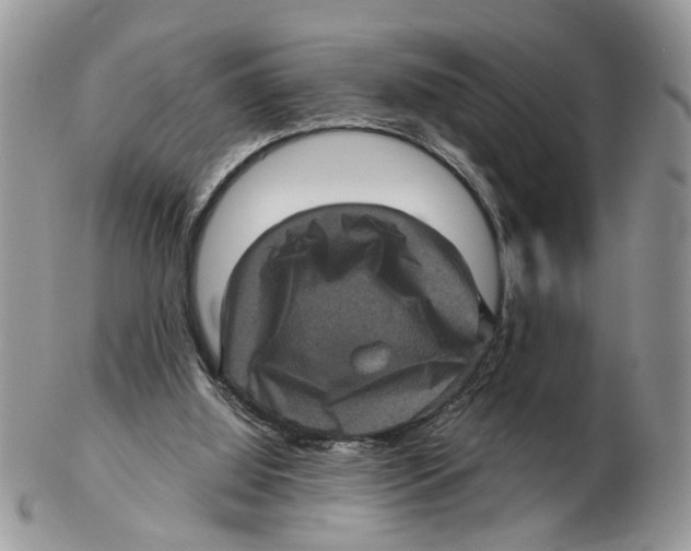 X0000102460060200809051319