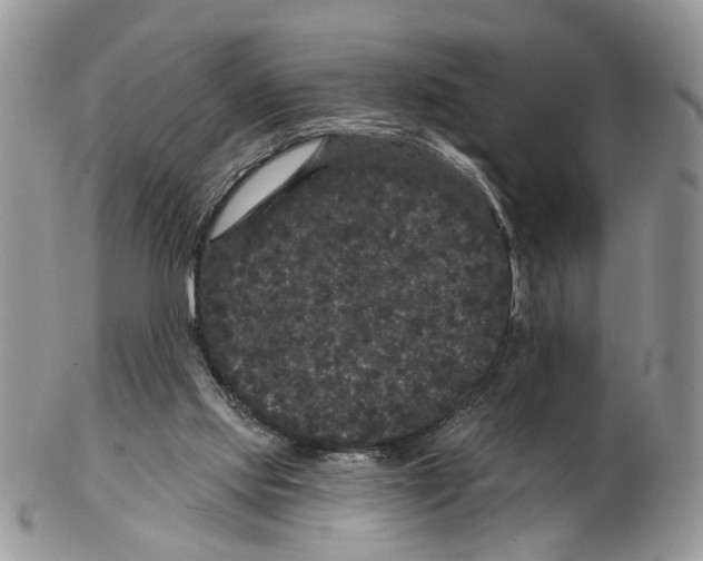 X0000102460061200809051319