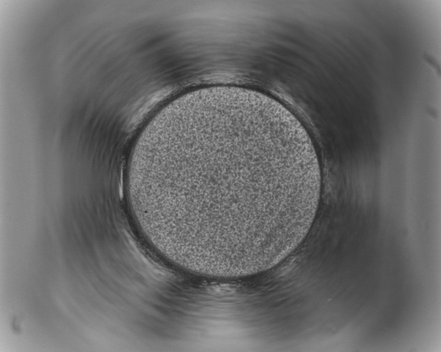 X0000102460062200809051319