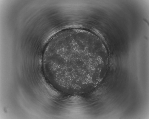 X0000102460063200809051319