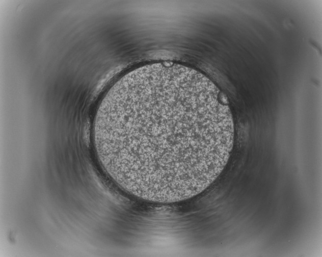 X0000102460064200809051319