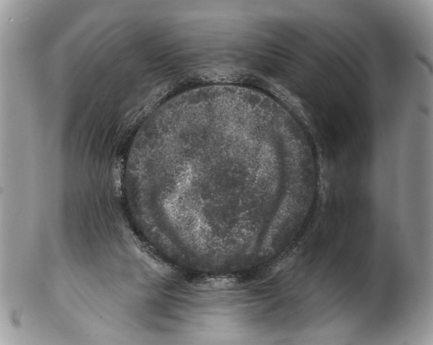 X0000102460065200809051319
