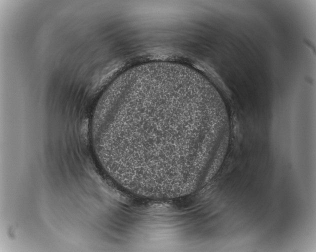 X0000102460066200809051319