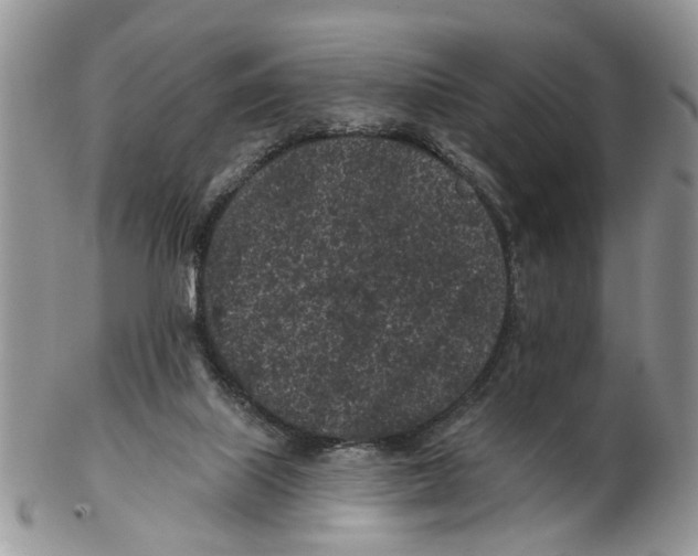 X0000102460067200809051319