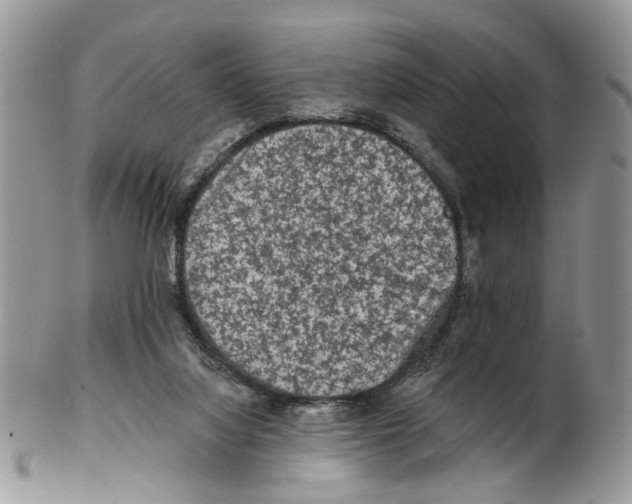 X0000102460068200809051319